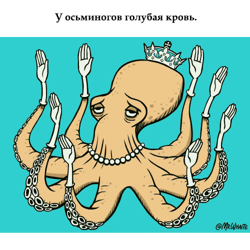 за счет чего кровь красная
